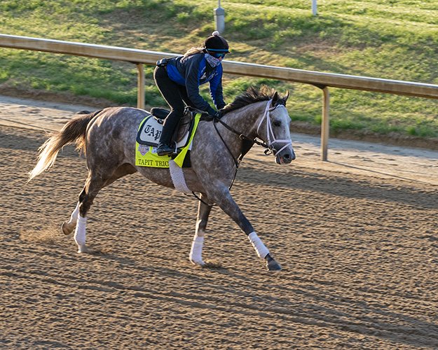 BH_AEberhardt's tweet image. Leading @KentuckyDerby and KyOaks contenders (#Forte #PracticalMove #TapitTrice #WetPaint) were out on a beautiful morning at @ChurchillDowns as the countdown to the major G1 races and festivities begins.