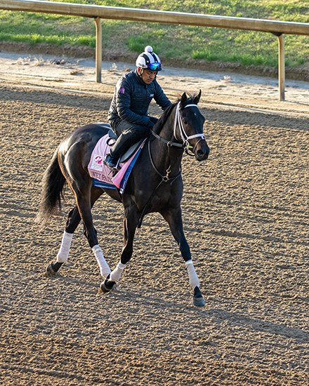 BH_AEberhardt's tweet image. Leading @KentuckyDerby and KyOaks contenders (#Forte #PracticalMove #TapitTrice #WetPaint) were out on a beautiful morning at @ChurchillDowns as the countdown to the major G1 races and festivities begins.