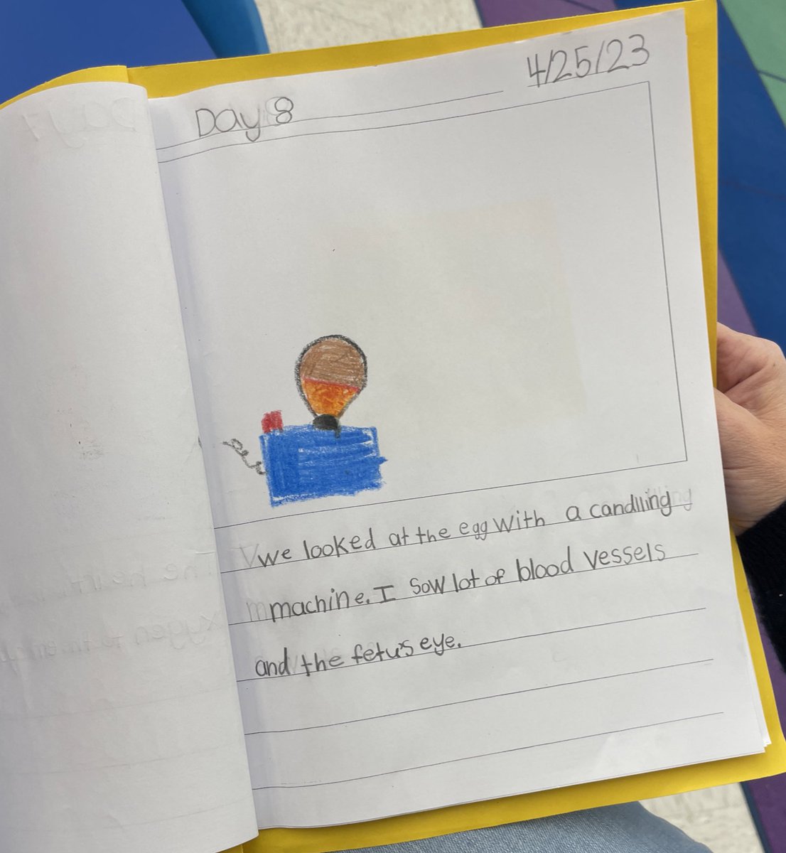 Dorian Gemellaro (@doctorgemellaro) on Twitter photo Kindergarten students <a href="/BurnetHillElem/">Burnet Hill School</a> <a href="/LivSchools/">Livingston Schools</a> use their ๐ฅduck eggs to learn about development! ๐ฃ Kindergarten students <a href="/BurnetHillElem/">Burnet Hill School</a> <a href="/LivSchools/">Livingston Schools</a> use their ๐ฅduck eggs to learn about development! ๐ฃ