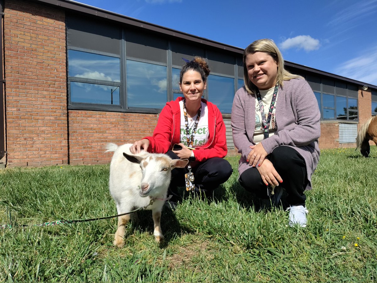 YatesElementary's tweet photo. The Teeny Tiny Farm made a visit for our K-2 classes at Yates Elementary! #NNPSProud https://t.co/cNDGakeubG