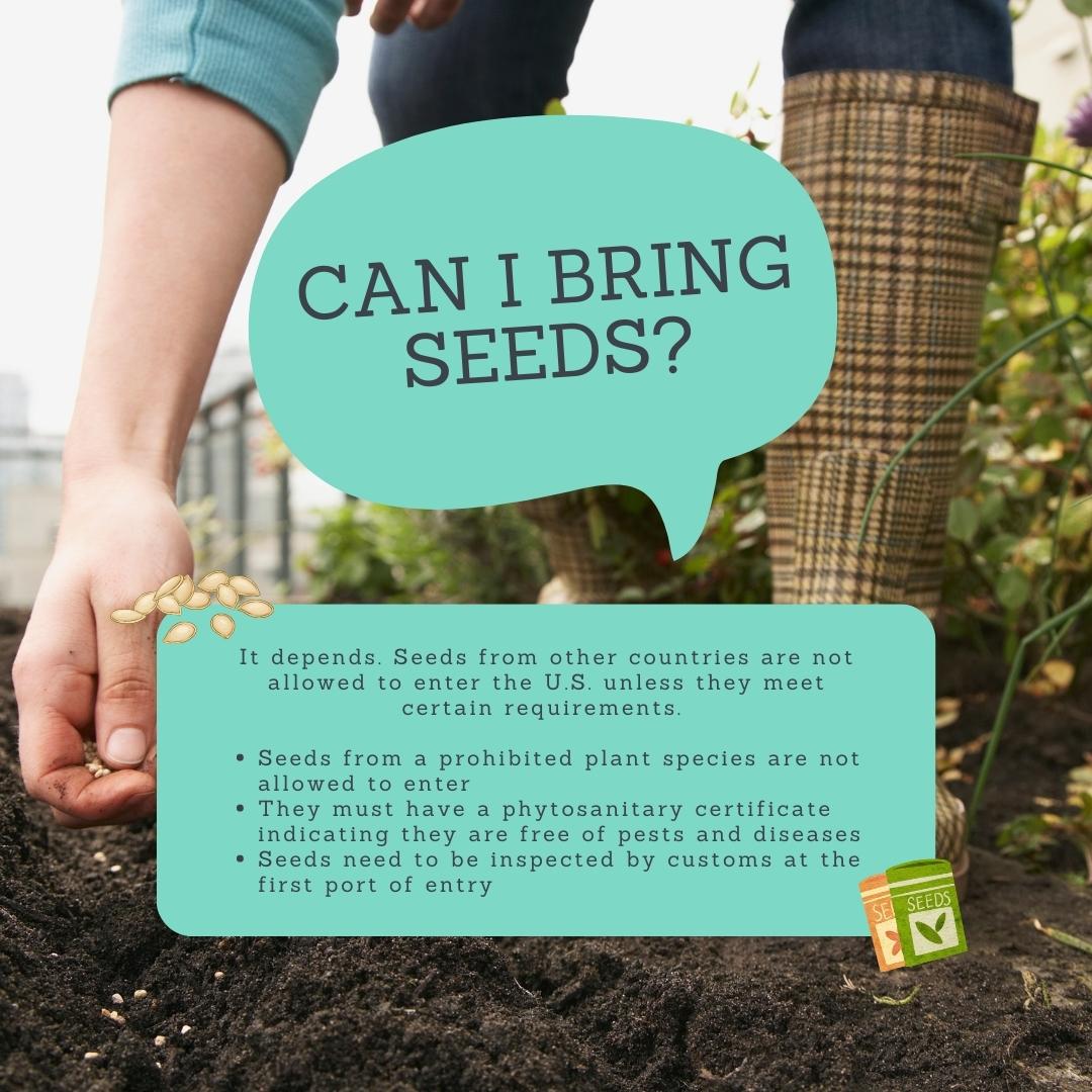 Don't Pack a Pest tweet media