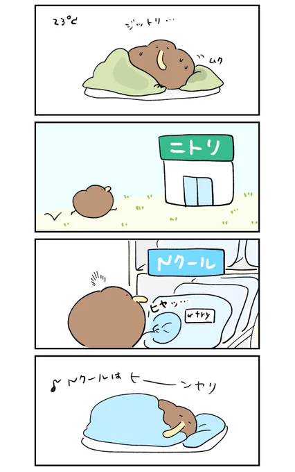 連休2日目のキーウィ