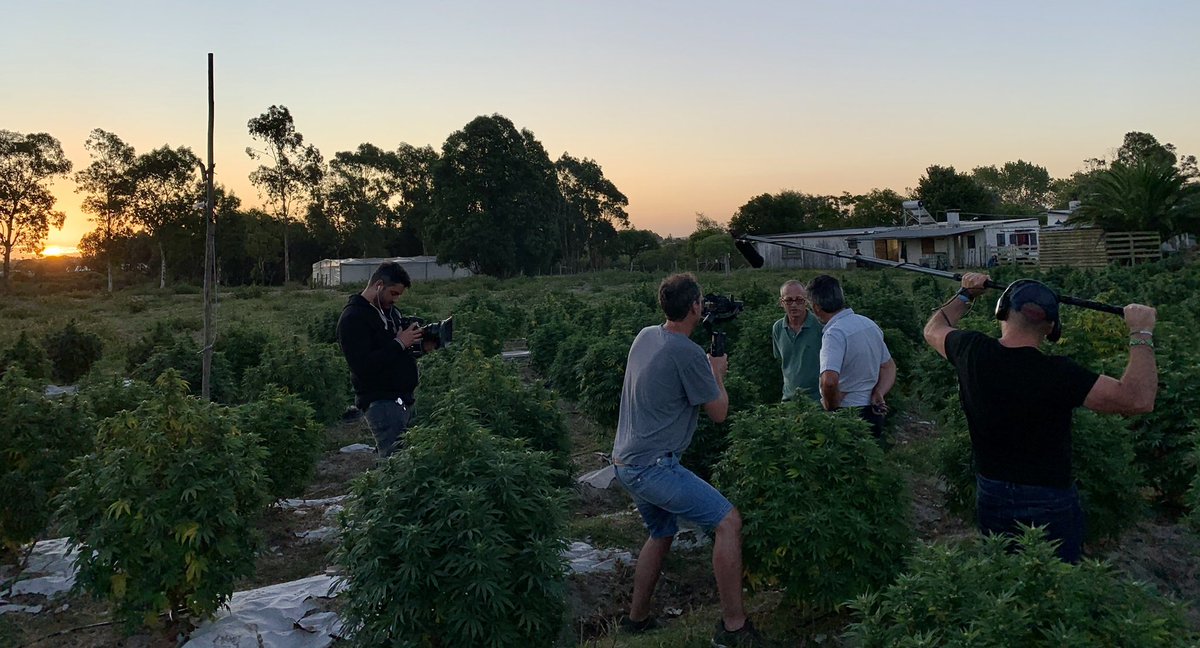 Bernardo Soriano tweet media