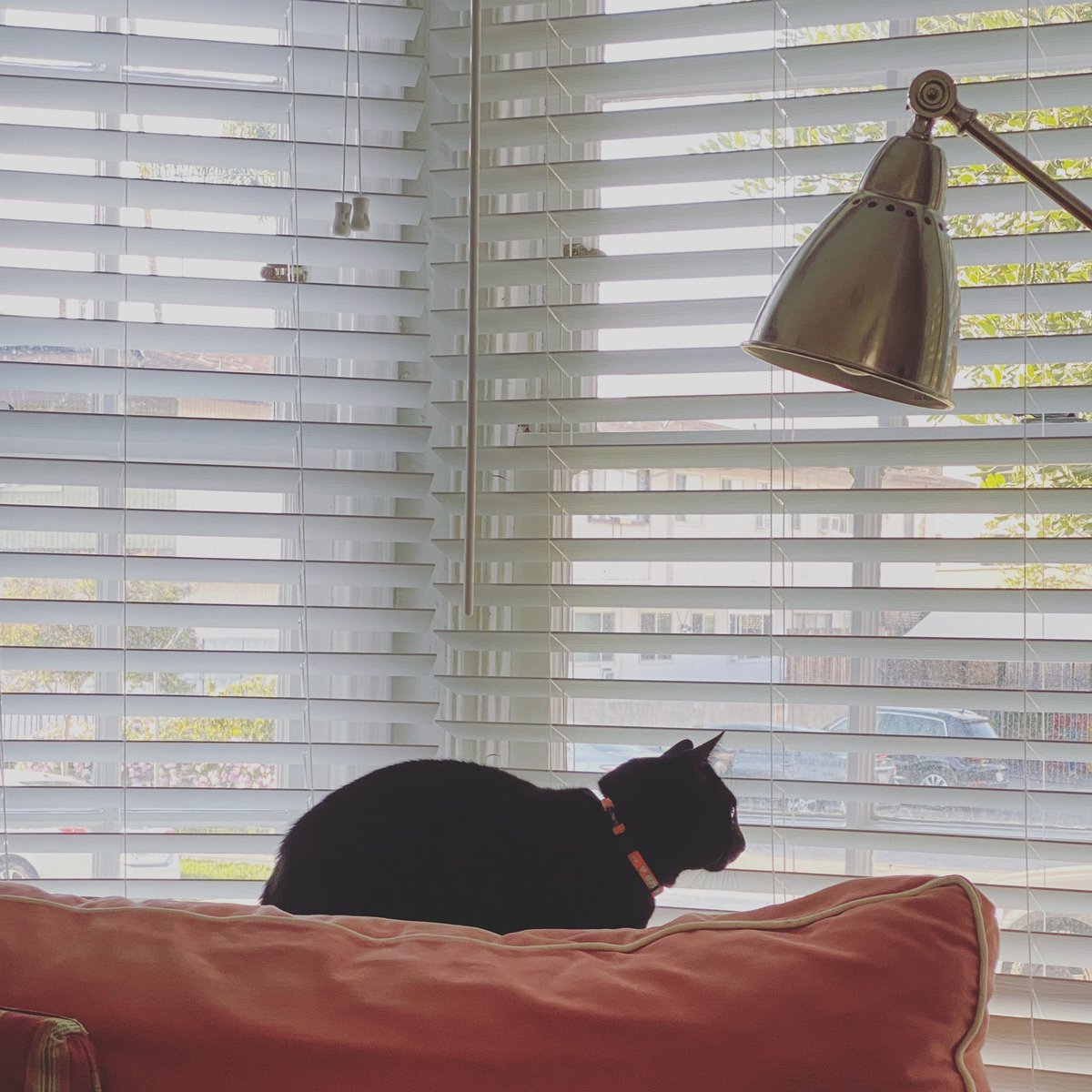 Hi guys. Im still alive i swear. Still settling into the new apartment. Still unpacking.