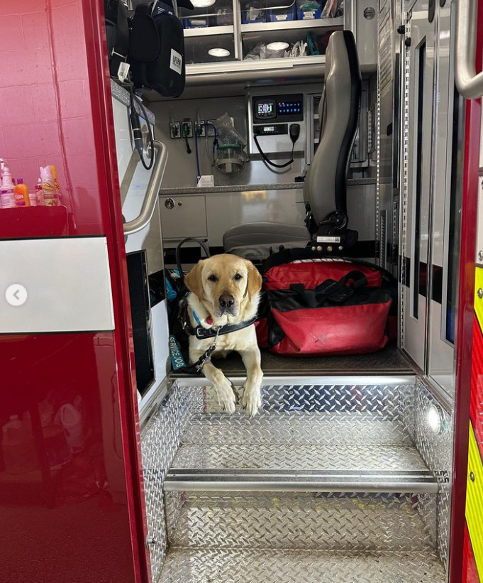 ECADServiceDogs's tweet photo. In honor of International Firemen's Day, here's a pic of #sdit French Fry & #ecadgrad Invincible! #ecadservicedogs must be used to sirens and first responder vehicles because they can alert people experiencing a medical crisis and assist in them. Jessie says Vinny rocked it! https://t.co/J3YjQGWIzg