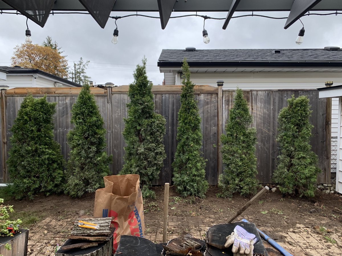 stphdbk's tweet photo. progress! https://t.co/R8C7hsMun1
