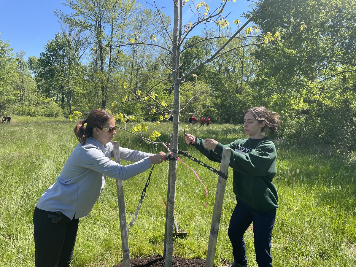 jc_parcc's tweet photo. Some of our team got to go to a tree planting event hosted by ReTree BG. We helped plant 20 trees in the Jennings Creek greenway area. https://t.co/XMkskqPV02