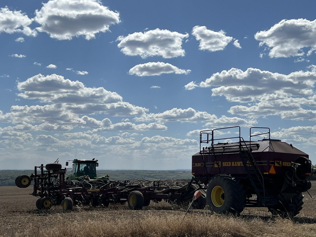 Randi Kuriga tweet media