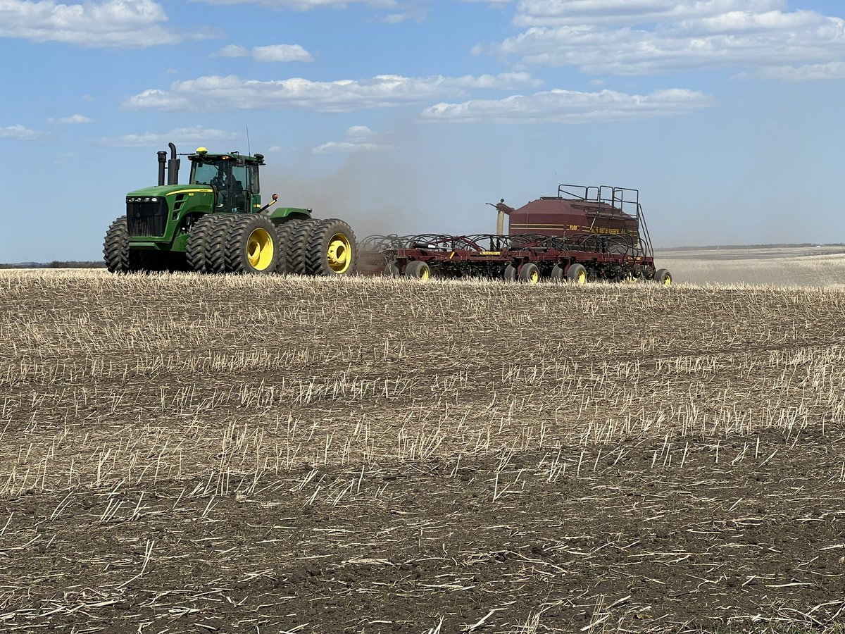 Randi Kuriga tweet media