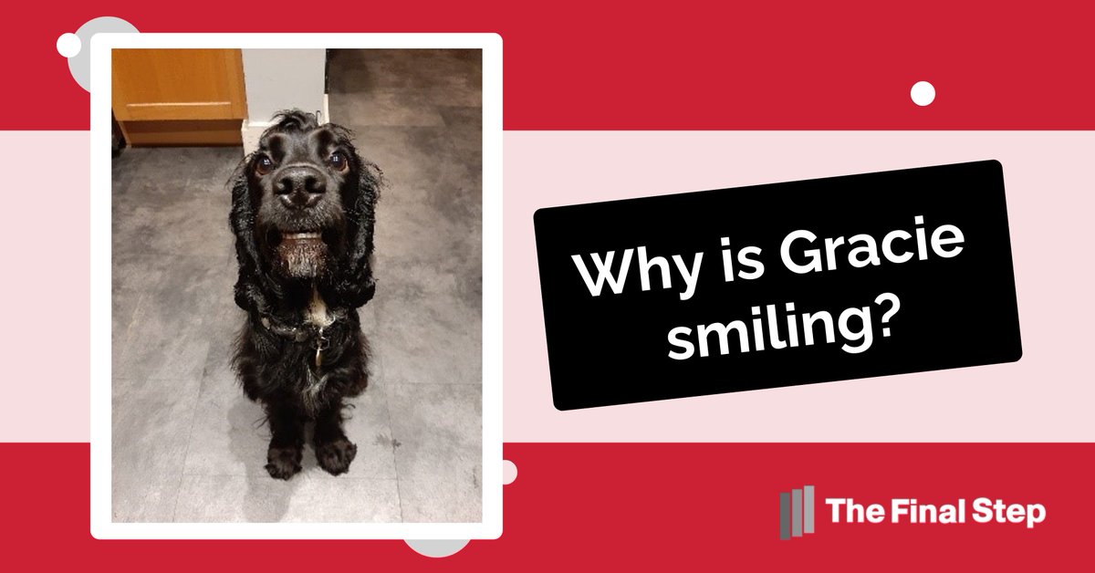thefinalstepIT's tweet image. This is Gracie.

Gracie is smiling because it&apos;s World Password Day, and her owner has not used &quot;Gracie&quot; or &quot;Gr@c1e!&quot; as their password.

Here&apos;s some help to improve your password security.
bit.ly/3p7FGSA

#WorldPasswordDay #CyberSecurity #SecurityFirstMindset