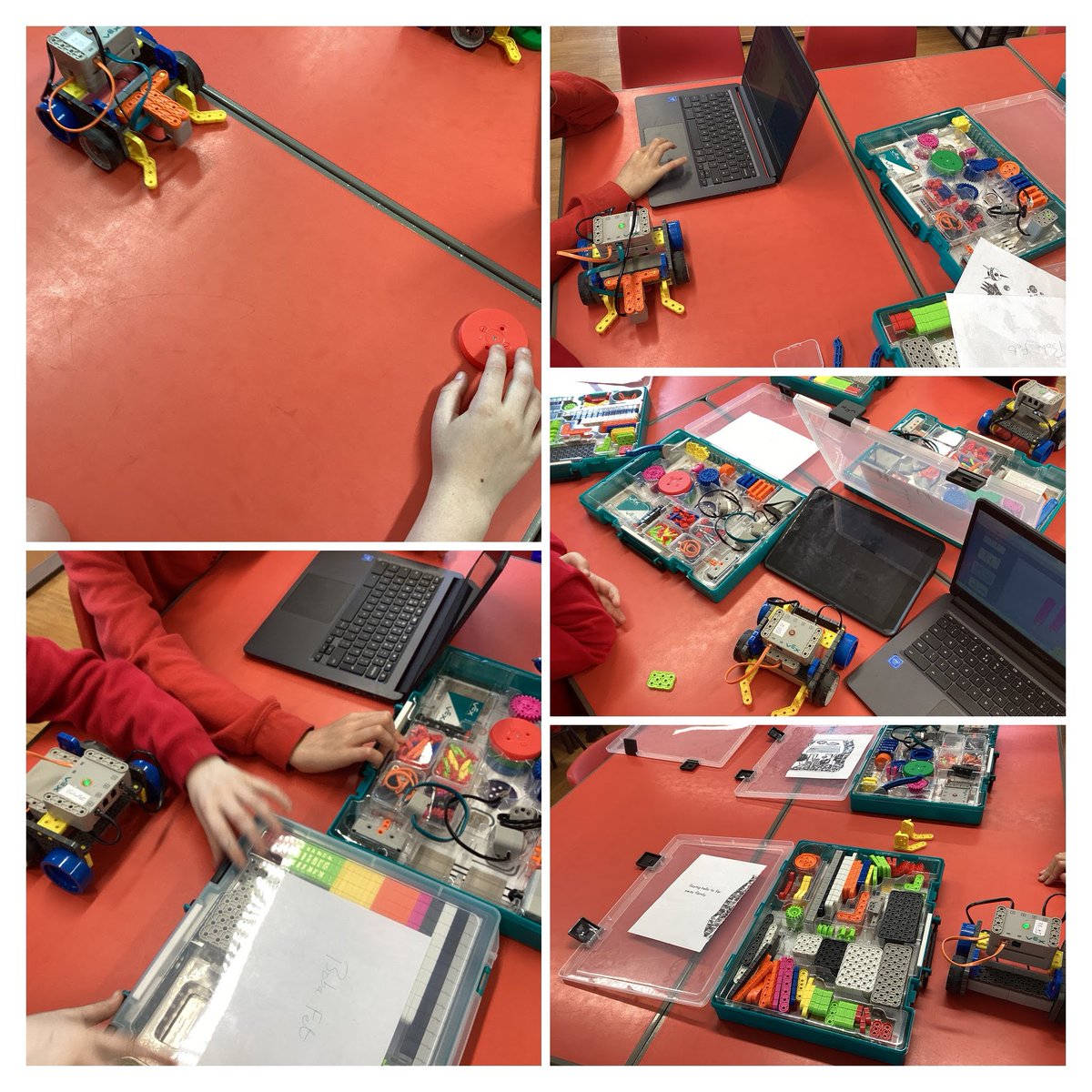 Red Rose Primary Upper Key Stage 2 tweet media