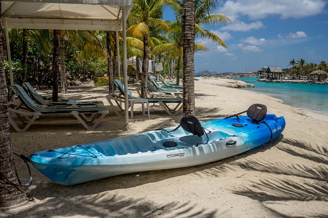 ApartmentHomefl's tweet photo. Kayaking combines aerobic fitness with the chance to immerse yourself in nature. Kayak Excursions, Cumberland Island, the Suwannee River, and the Okefenokee Swamp are a few places where you can paddle on a kayak tour  #FloridaAdventures #FloridaExcursion https://t.co/e06K1o6Rzq https://t.co/r9A2bMu4k3