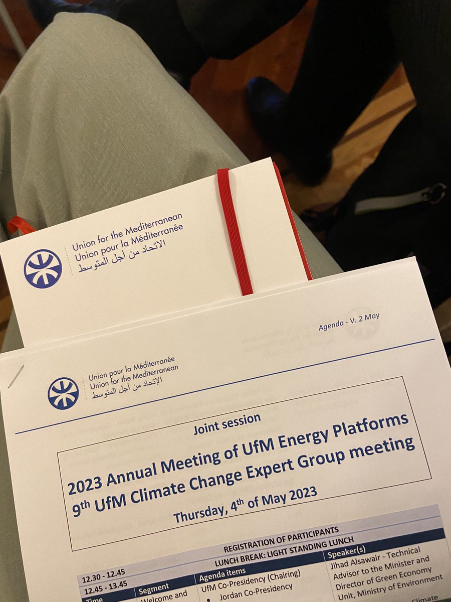 Thrilled to be joining the 9th UfM Climate Change Expert Group meeting !
