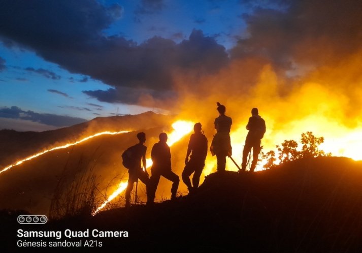 Hoy se conmemora el Día Internacional del Combatiente de Incendios Forestales
Desde 1999, el 4 de mayo se celebra como el Día Internacional del Combatiente de Incendios Forestales.

imagenes de <a href="/pcmbi/">pcmbi</a>

Más información en nuestro Instagram