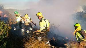 garciapage's tweet photo. Contamos con un extraordinario plan de extinción de incendios gracias, en gran medida a los/as profesionales del @Plan_INFOCAM.
Mi reconocimiento y gratitud para los/as bomberos forestales que arriesgan en primera línea y el recuerdo para los que no están.
#DíaDelBomberoForestal https://t.co/7j5fTcvrrU