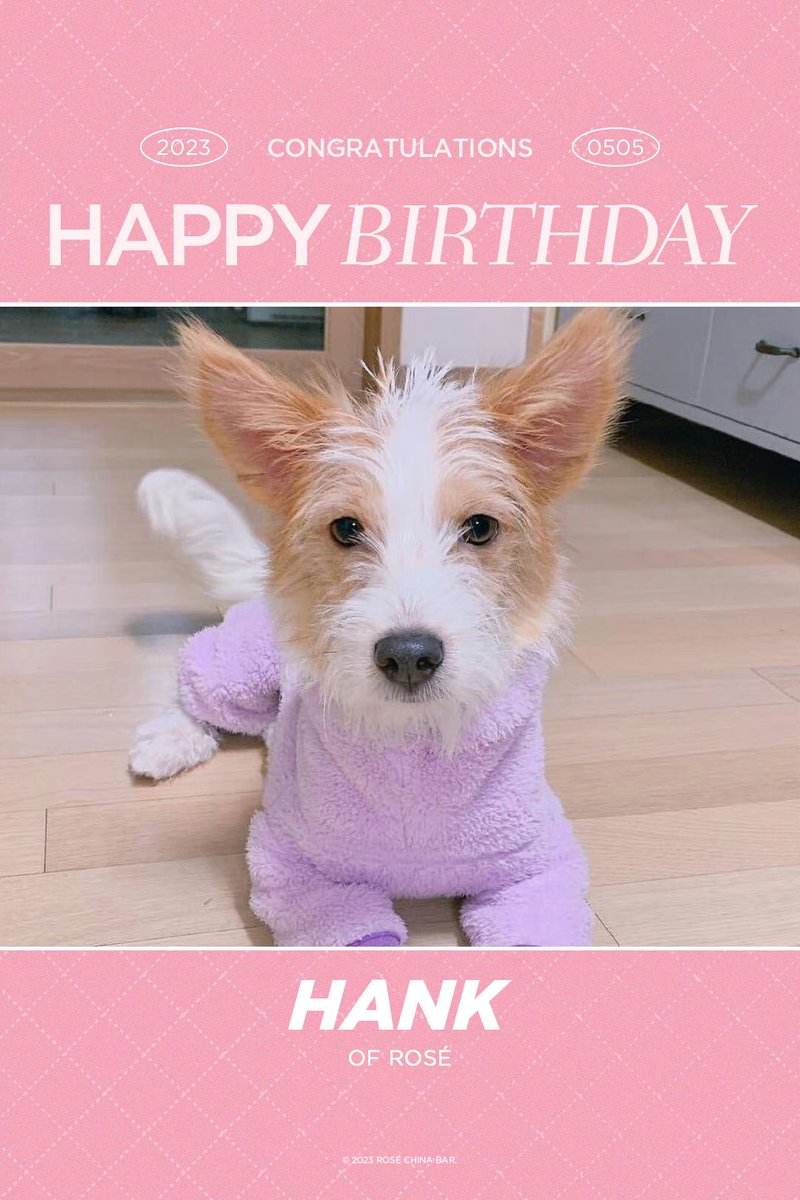 RoseChinabar's tweet photo. Happy Birthday Hank 🐶🥳🎂

#HappyHankDay 
#AdoptDontShop https://t.co/nOfFVKmYcS