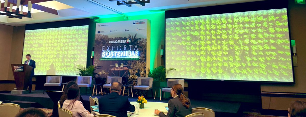 Viviana C. tweet media