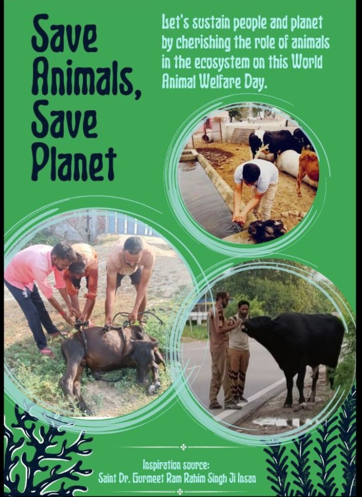 KavitaInsan93's tweet photo. We should  always be kind to animals. The followers of Dera Sacha sauda do Animal welfare works which day inspiration of saint Gurmeet Ram Rahim ji, like keeping fodder, water for animals ,tying reflector belts to protect them from accident etc.
#EndCruelty https://t.co/D9I6ijZ9dR