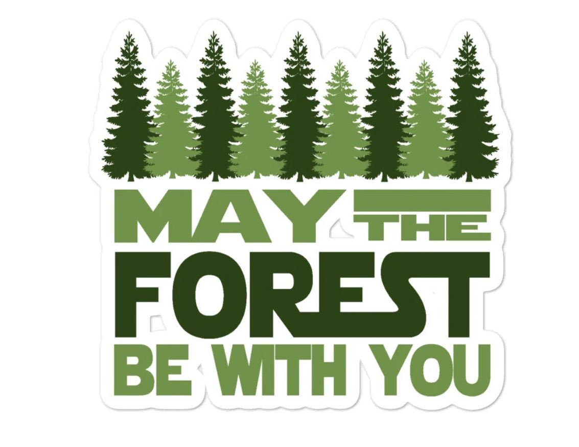 bouchardproject's tweet photo. Happy May 4th from the BPWood team !
https://t.co/cUQxYdHzGv https://t.co/qlg9kflTj1