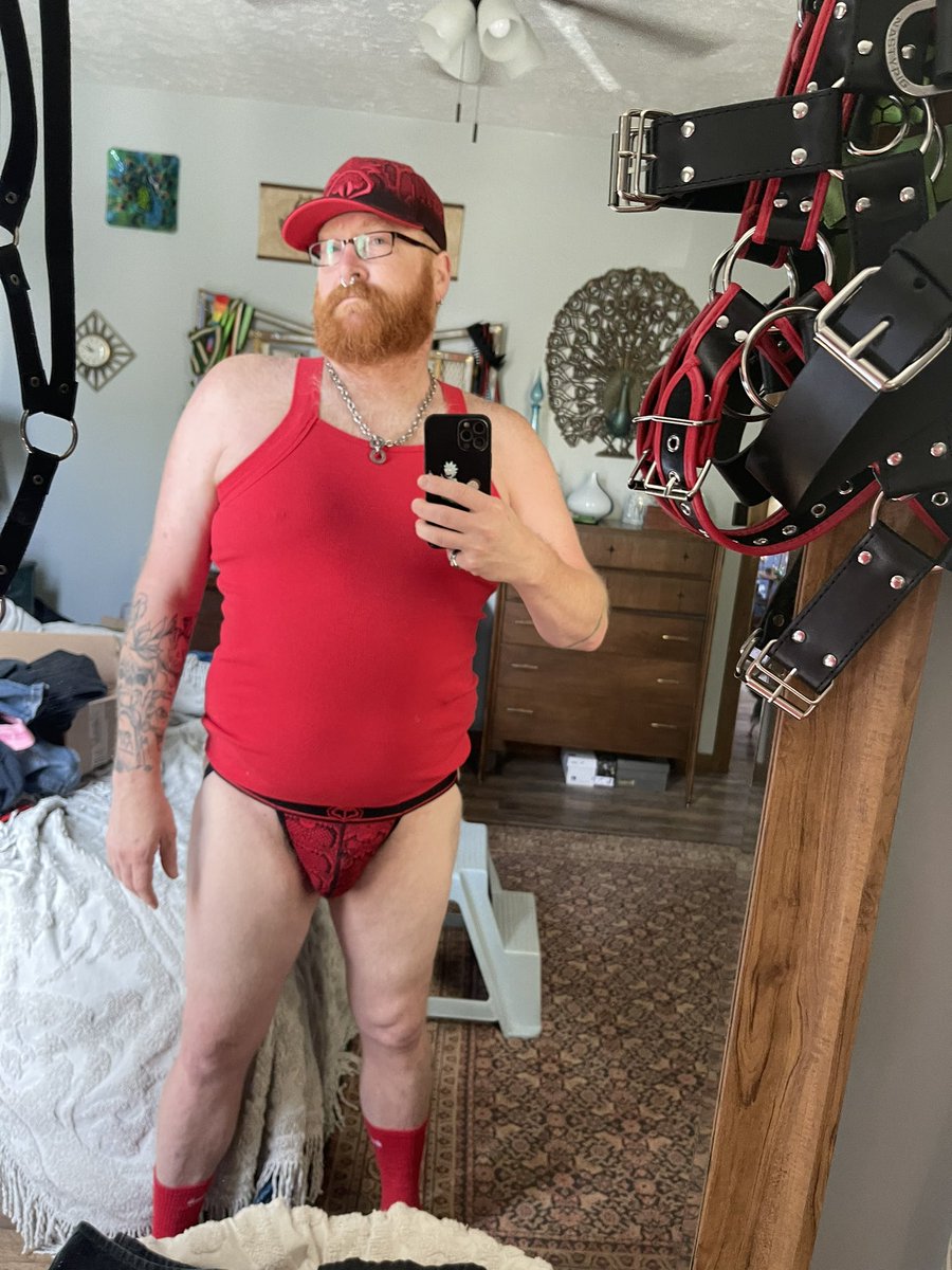 GingerbearMan23 tweet picture