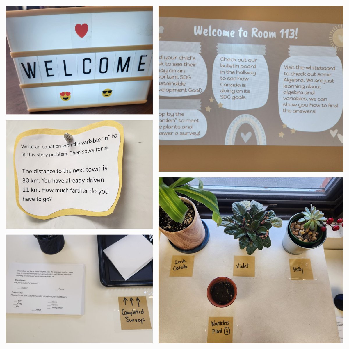 Ms Sullivan (@sullivanocsb) on Twitter photo Thank you to everyone who was able to visit for our Open House <a href="/EASetonOCSB/">St. Elizabeth Ann Seton School</a> this morning! The students enjoyed showing you around, and we appreciate you helping us gather some survey data. Our new plant's name is ....... SPROUT! 😁🌱 Thank you to everyone who was able to visit for our Open House <a href="/EASetonOCSB/">St. Elizabeth Ann Seton School</a> this morning! The students enjoyed showing you around, and we appreciate you helping us gather some survey data. Our new plant's name is ....... SPROUT! 😁🌱