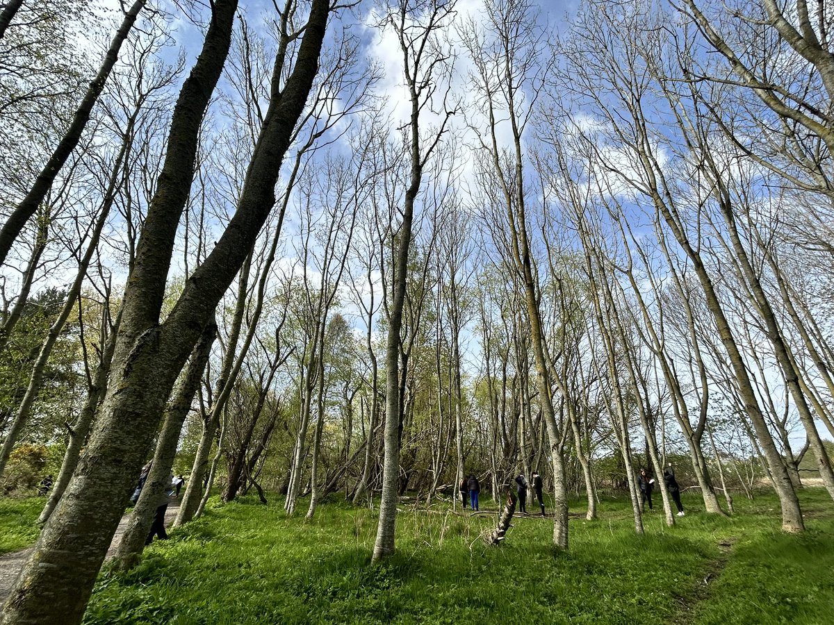 Lovely outside lesson with 2S2 today working towards their <a href="/JohnMuirTrust/">John Muir Trust</a>    working with <a href="/ElginHSGeog/">ElginHSGeog</a>