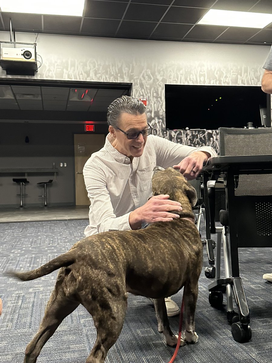 WDBONews's tweet photo. WDBO had the opportunity to meet Ginger! A beautiful dog who is looking for her forever home. She is up for adoption at @petallianceGO 

To adopt Ginger or any of their amazing animals go check them out on https://t.co/oeWszFa6cT. They are open 12pm-5pm today! #WDBO #petalliance https://t.co/sJjjPFgZNi