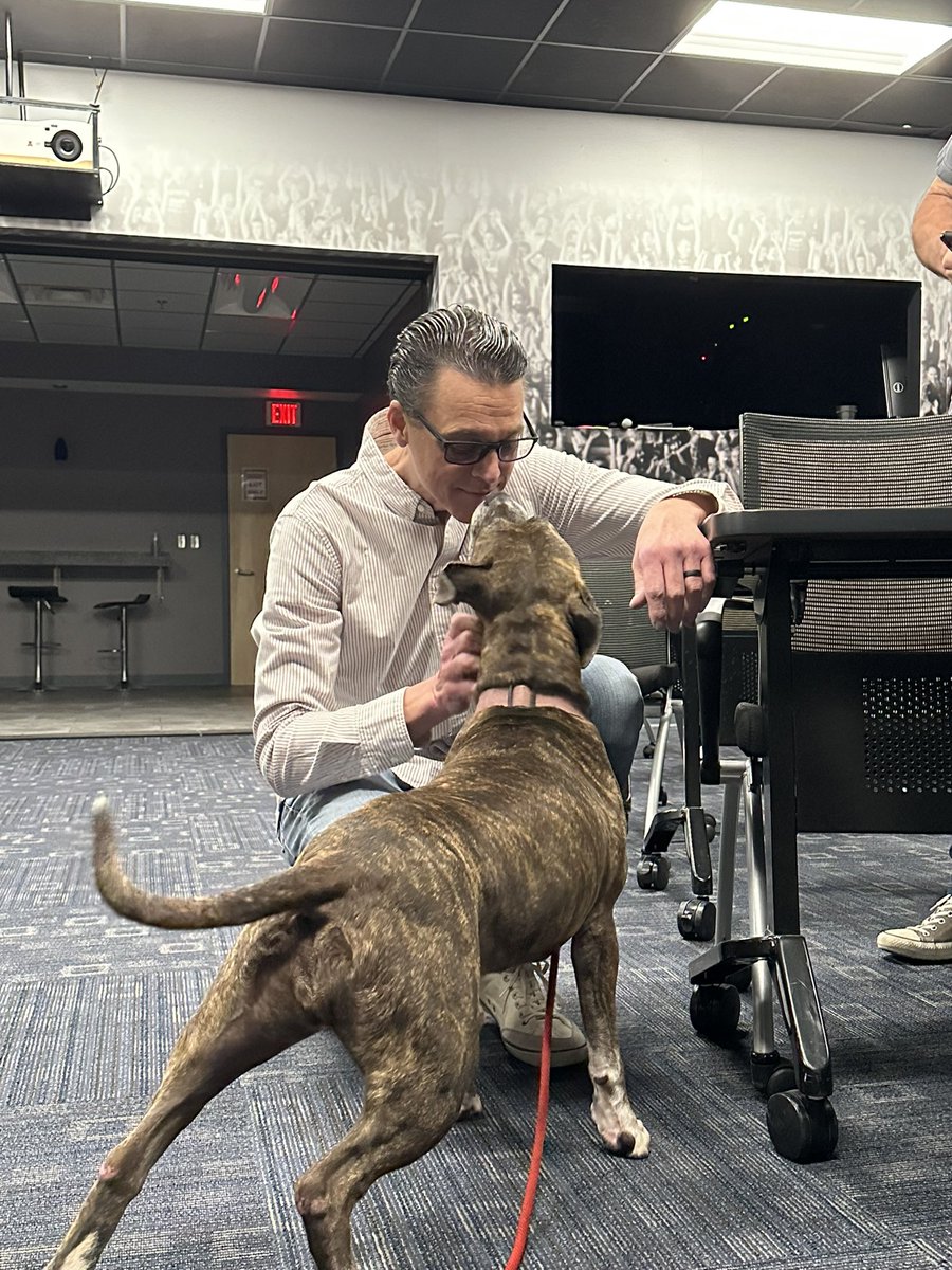 WDBONews's tweet photo. WDBO had the opportunity to meet Ginger! A beautiful dog who is looking for her forever home. She is up for adoption at @petallianceGO 

To adopt Ginger or any of their amazing animals go check them out on https://t.co/oeWszFa6cT. They are open 12pm-5pm today! #WDBO #petalliance https://t.co/sJjjPFgZNi