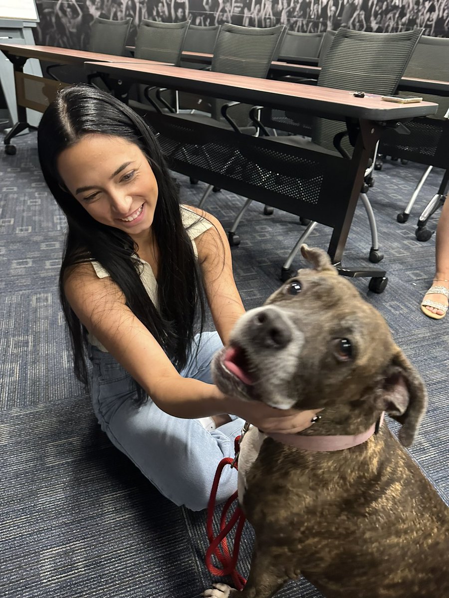 WDBONews's tweet photo. WDBO had the opportunity to meet Ginger! A beautiful dog who is looking for her forever home. She is up for adoption at @petallianceGO 

To adopt Ginger or any of their amazing animals go check them out on https://t.co/oeWszFa6cT. They are open 12pm-5pm today! #WDBO #petalliance https://t.co/sJjjPFgZNi