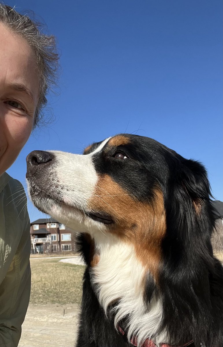 If you are oldish and slowish, a Bernese Mountain Dog makes the perfect running buddy! They like breaks too!😂
#playoutside #oldandslow #dogsoftwitter #bestbuddy