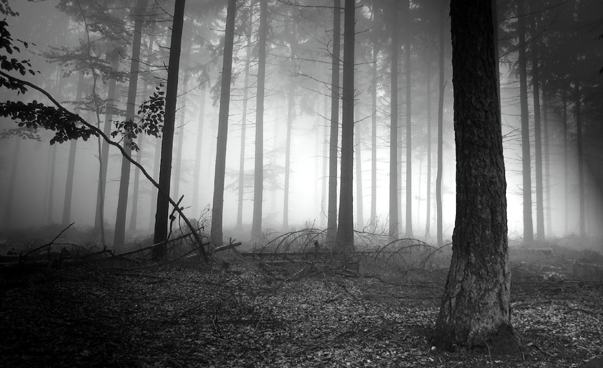 Si buscas un lugar para poder "explorar",un extraño te ah ofrecido varios lugares especiales...

Una granja?....Un bosque prohibido?...un centro de crianza? Cual ser el primero que visites?