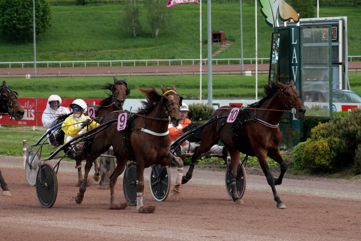 🏆 2ème course : Prix Gelinotte
🥇n°9 Hercule de l'Eau - Anthony Barrier - 1'13"30
🥈n°12 Hold the Line - Enzo Lelievre - 1'13"30
🥉n°10 Hardi Crown - Dominik Locqueneux - 1'13"30
