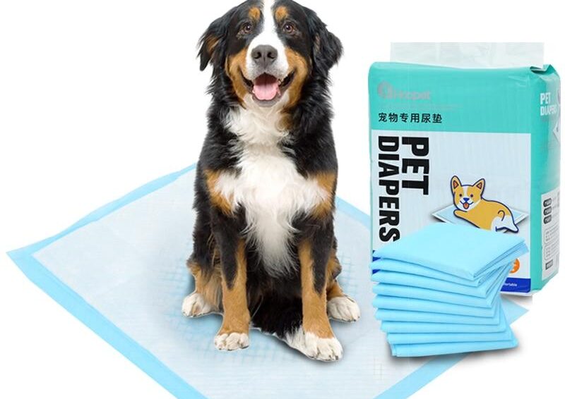BffTreat28346's tweet photo. What better way to protect your enviroment and keep you dog healthy! So take a second to check this out! 🐶❤️
https://t.co/HAHXOTzqql
#peepad #doglover #healthylife #pet https://t.co/Dm8lIeUO7W
