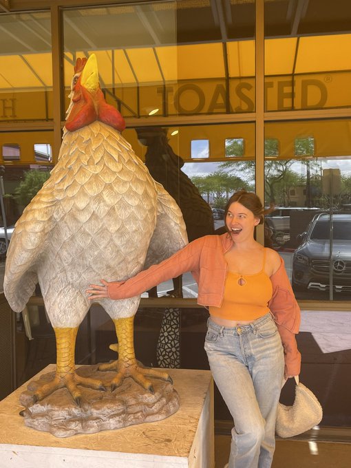 COCK A DOODLE DOO 🐔👀 https://t.co/Xxewx5eNP1