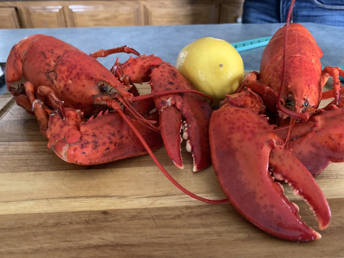 Lobster for lunch. Lobster for supper. #PEI #PHEPEI2023