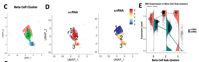 Shout #Diabetesresearch folks. Our paper is online @GenomeMedicine @SpringerNature. Single nucleus RNA sequencing of human pancreatic #islet identifies novel gene sets and distinguishes #βcell subpopulations with dynamic transcriptome profiles. rdcu.be/dbj0l @cityofhope