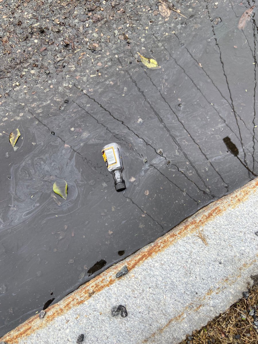 ProfRossBarrett's tweet photo. Springtime magic in Boston: showers, daffodils, and the year’s first crop of fresh nips in the street https://t.co/U1VyK6B8Cl
