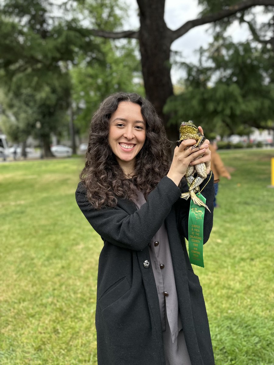 SenatorAshby's tweet photo. While #TeamAshby didn’t place today in the #CapitolFrogJump, our frog Bob jumped 10 feet and 1 inch and we got great pics of Policy Analyst Lesley! 🐸
Thanks @AlvaradoGil2026 for keeping the frog jump alive. https://t.co/qUDWn7w1eM