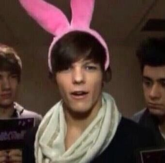 91tkitten's tweet image. rabbit 🐰