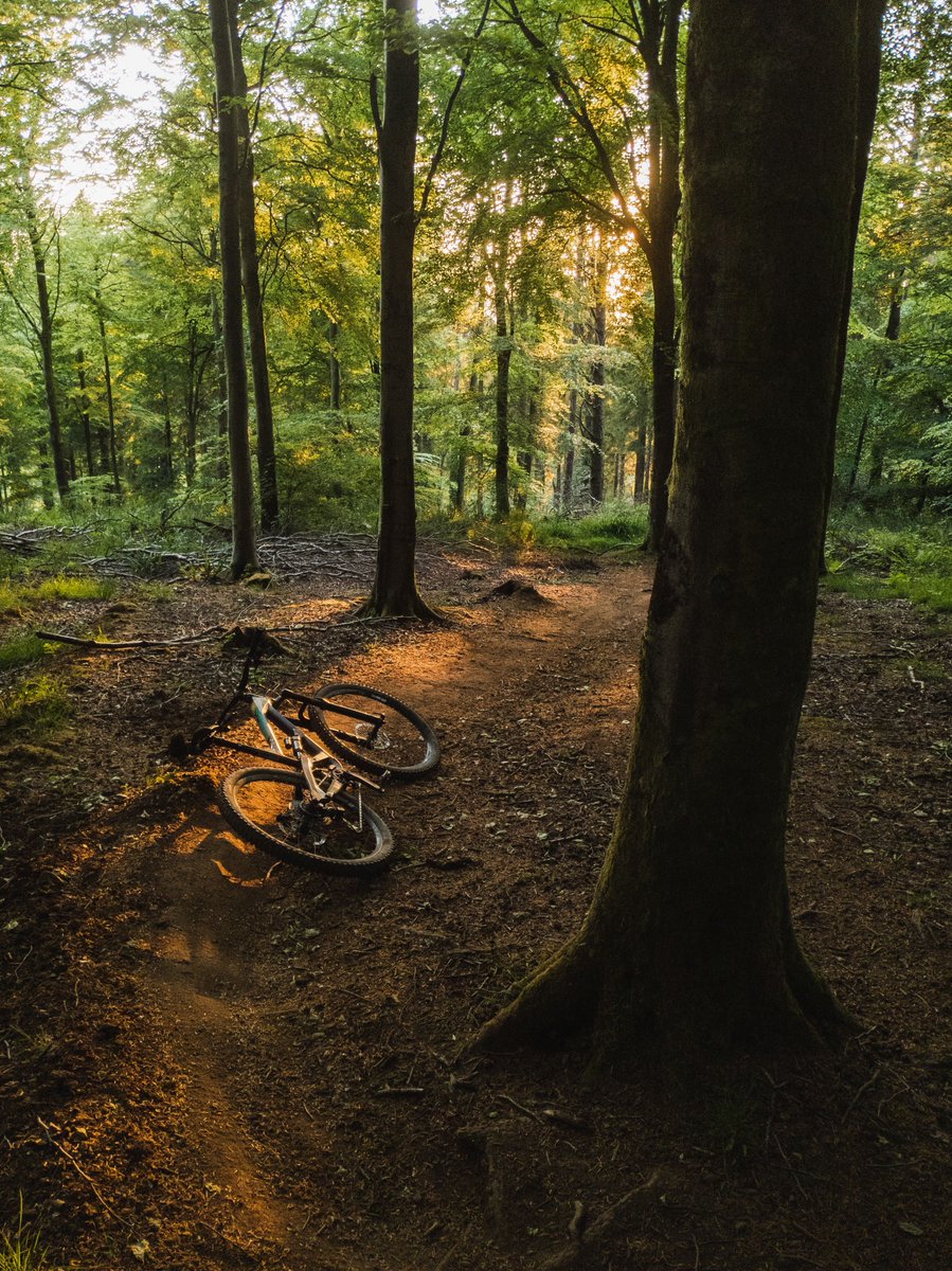 Mountain bikers - how do you experience nature and perceive environmental threats facing trail locations in the UK? 

Please take 10 mins to respond to a survey as part of my @imba_europe research project with help from <a href="/iamspecialized/">Specialized Bicycles</a> &amp; <a href="/patagoniaeurope/">patagoniaeurope</a> 
eoq04bf6pif.typeform.com/to/AR3rD4r3