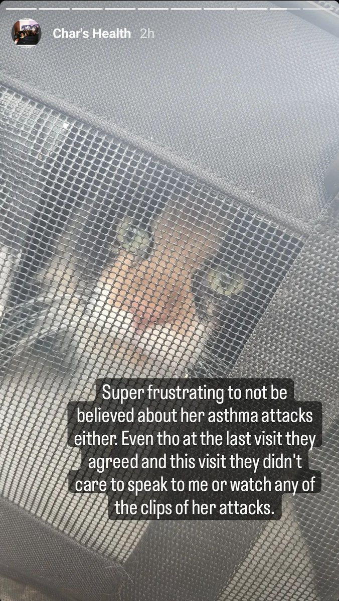 En__zu's tweet photo. We have an Instagram with more up to date info on our vet adventures. A sneak preview of our frustration too 😩
https://t.co/L2uyuikeR1 https://t.co/ljYHxU5P2H
