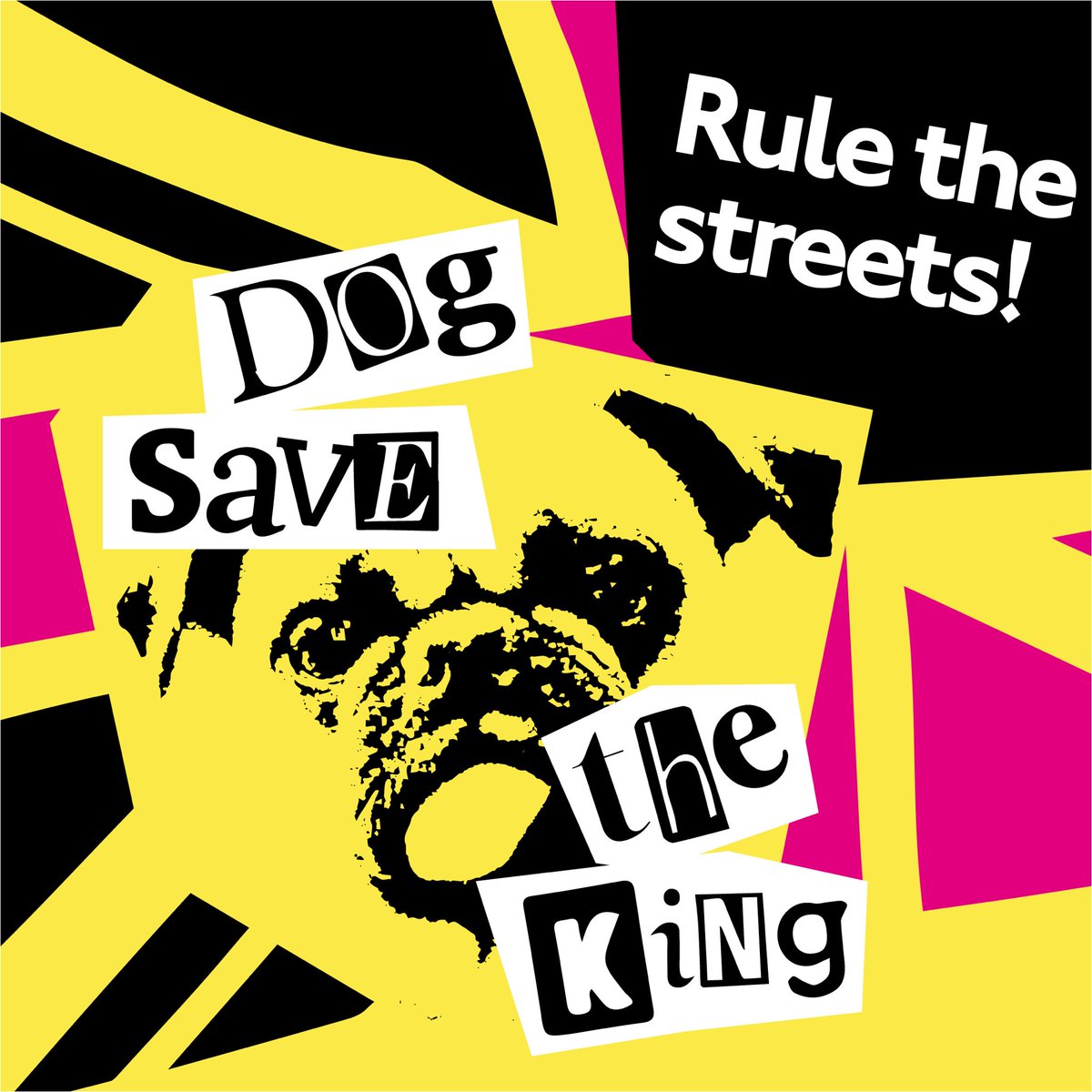 TopDogHarnesses's tweet photo. Our new collection has just launched on the website 👑🐾 #dogsavetheking https://t.co/SNcnc28u8A