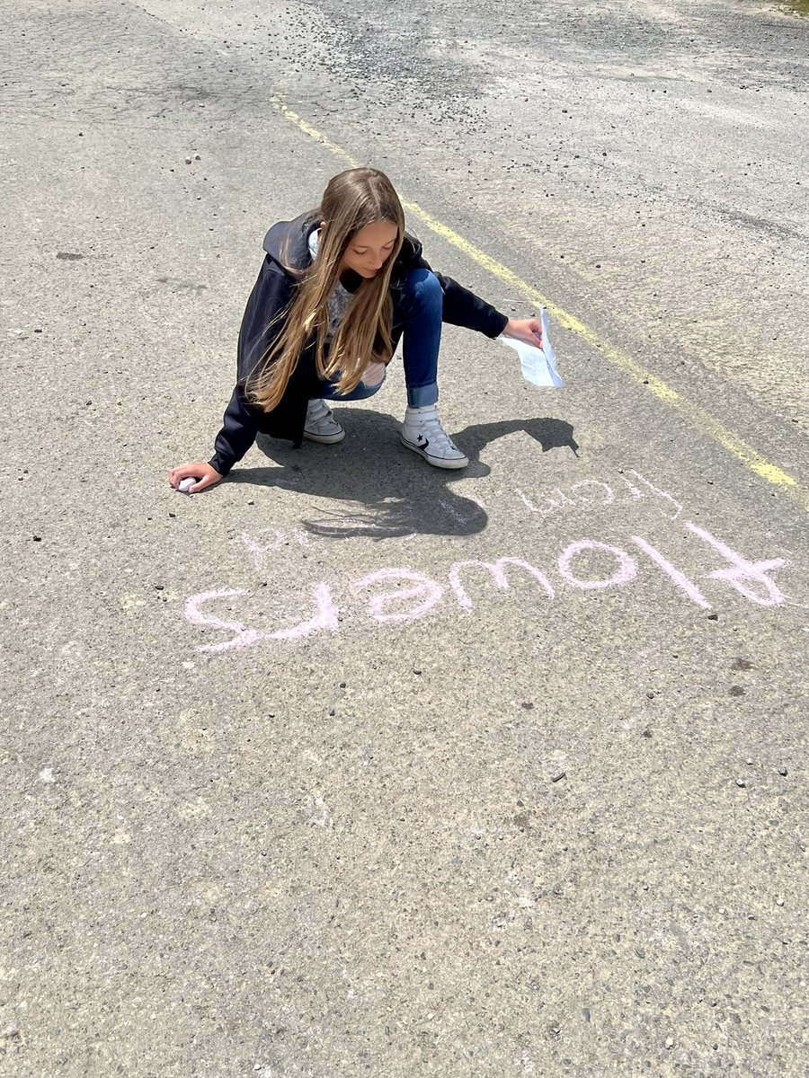 AmyLack1's tweet image. Sidewalk Poetry on a Beautiful Spring Day! @WoodvilleHS #nextlevel #sidewalkchalk #poetry @JCBOEal
