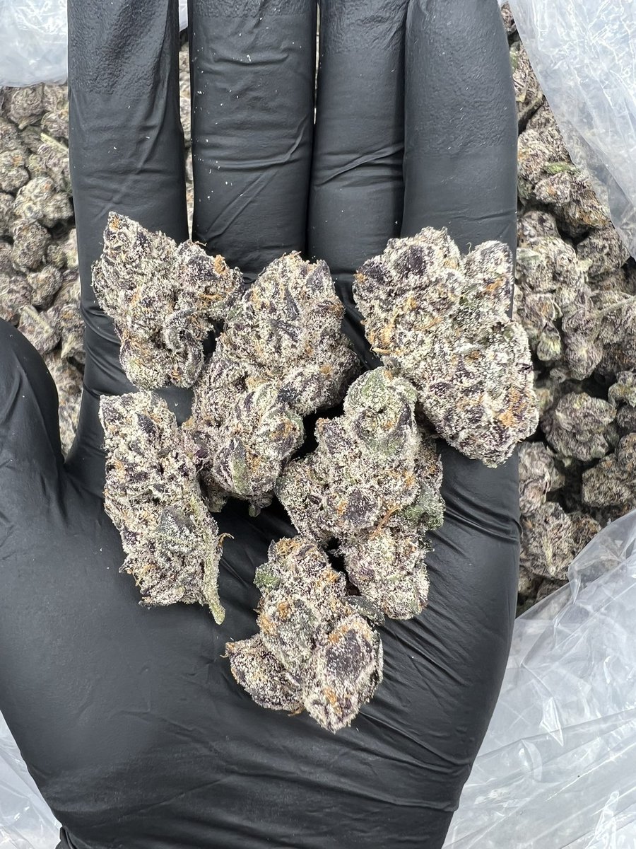 realZaExpress's tweet photo. ZABAGOOL HAS OFFICIALLY DROPPED!😧🔥🌴 #ZaZa #gas #smokers #sopranos #cannabis #LosAngeles #delivery #weed https://t.co/IobJot62mo