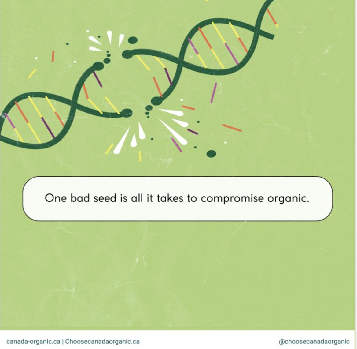 COTA is disappointed in reckless decision to allow the release of gene edited seeds without mandatory disclosure.  Full transparency is needed to ensure choice for businesses and consumers, whether organic or not! Read our press release  canada-organic.ca/en/news/canada…
<a href="/cdnpoli/">a nobody</a> <a href="/cdnag/">Robin Booker</a>