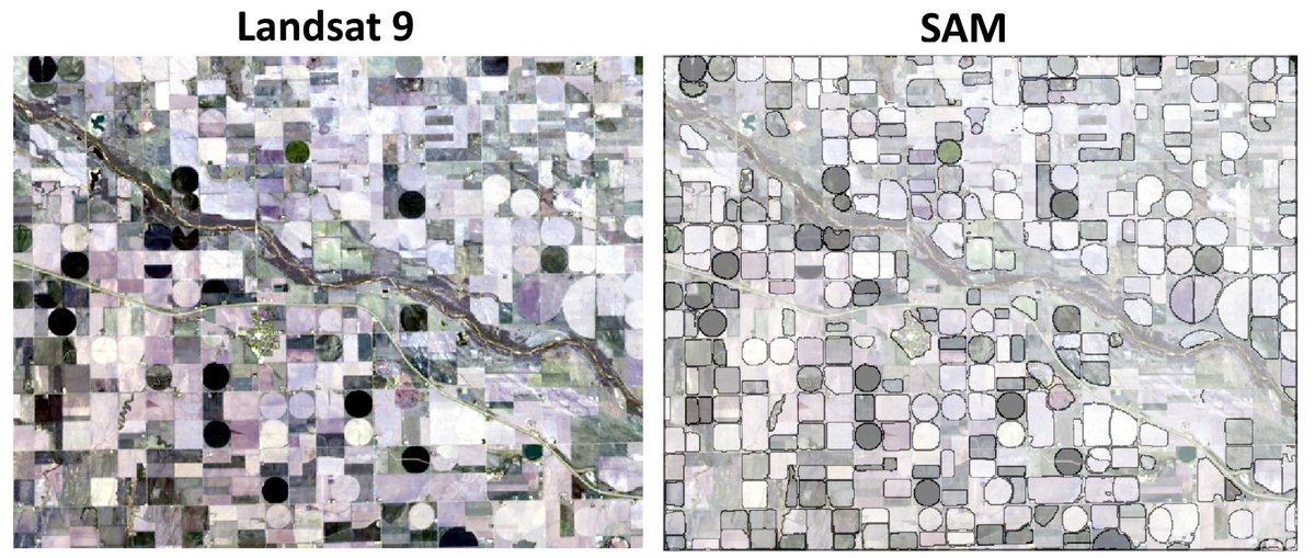 Björn Nyberg tweet media