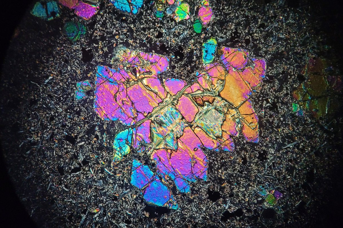 Olivine basalt from NE Brazil #geology #igneous #thinsectionthursday