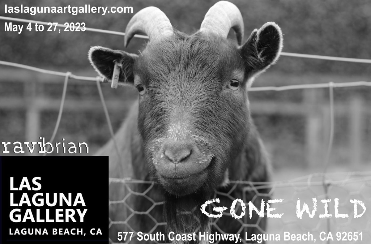 Ravi Brian tweet media