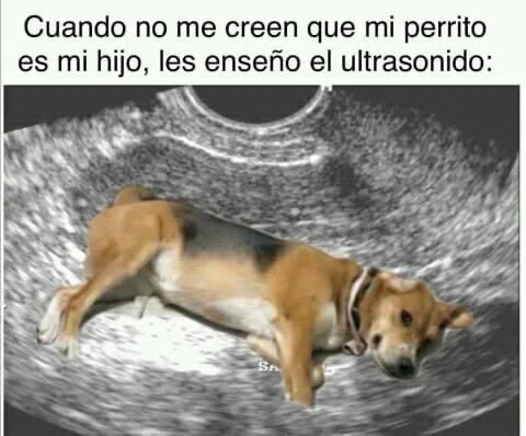 roslyn kp on Twitter: "Ya ven les dije 👀"