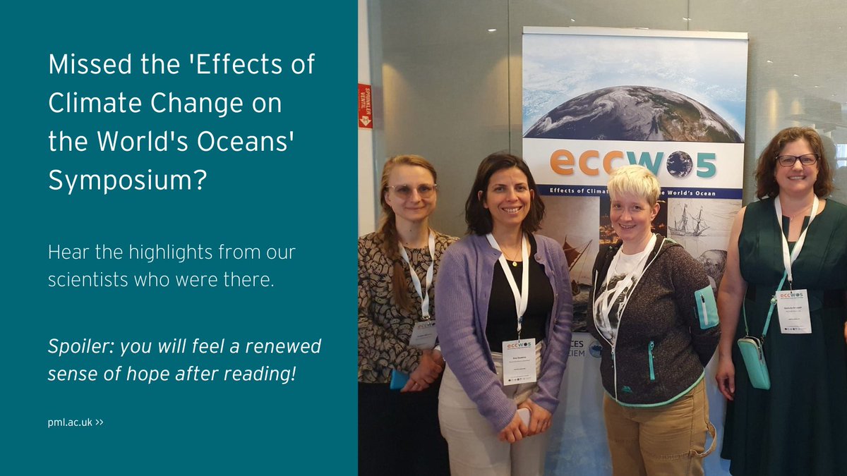 Four of our scientists represented us at the major conference: 'Effects of #ClimateChange on the World's Oceans' (@eccwo) in Norway. When they got back to the lab, they sat down to tell us all about it 👇pml.ac.uk/News/PML-scien… @Oceane_Umi @DrAnaQueiros @Liz__Talbot @stefbroszeit